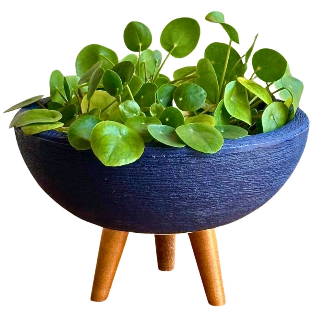 Kit 3 Vasos Decorativos em Polietileno