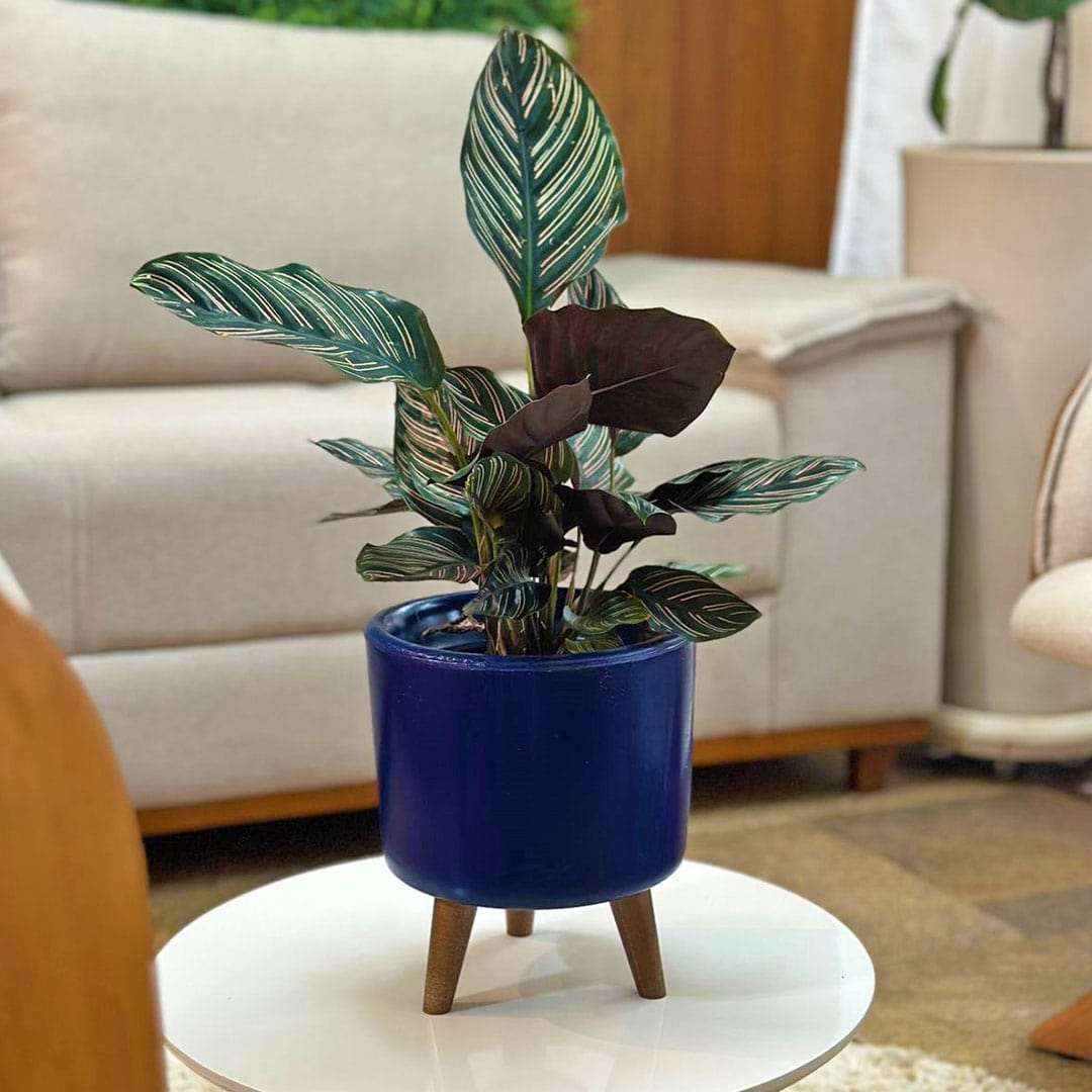 Mini Vaso Linha Doha 22cm com Tripé