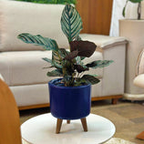 Mini Vaso Linha Doha 22cm com Tripé