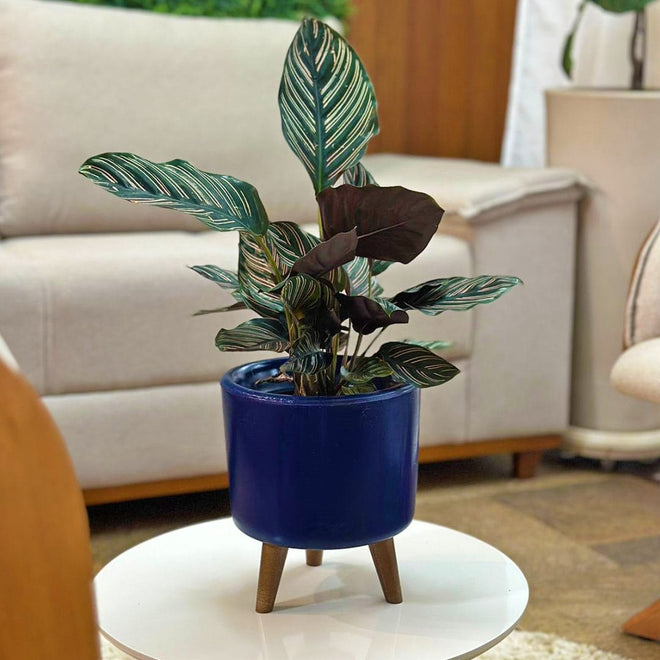 Mini Vaso Linha Doha 22cm com Tripé