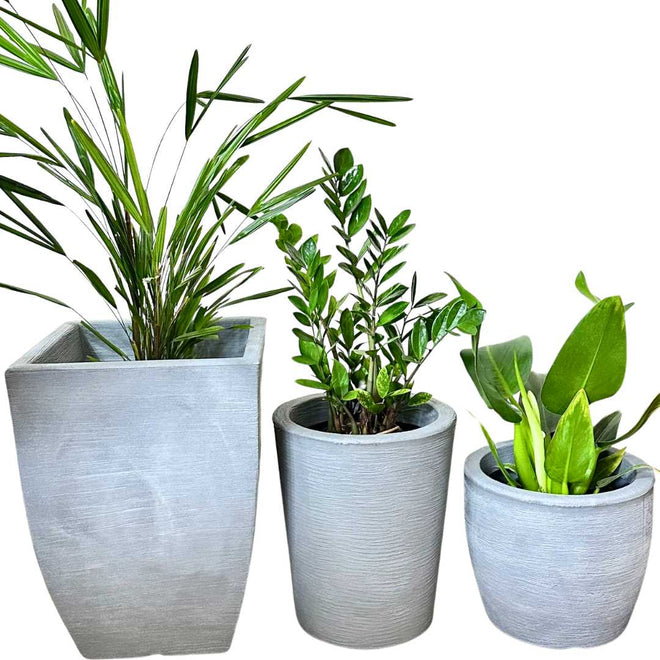 Kit 3 Vasos Texturizados Médios - Verde Garden