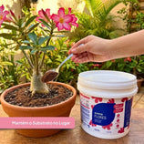 Adubo Para Flores Fertilizante Avena 3kg