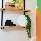 Planta Artificial Arranjo Pendente Decoração Sala Escritório