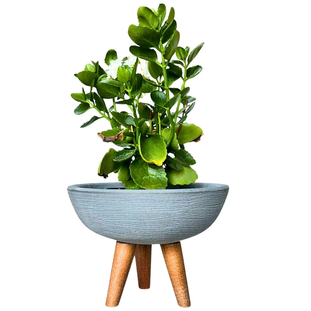 Kit 3 Vasos Pequenos para Espaços Compactos