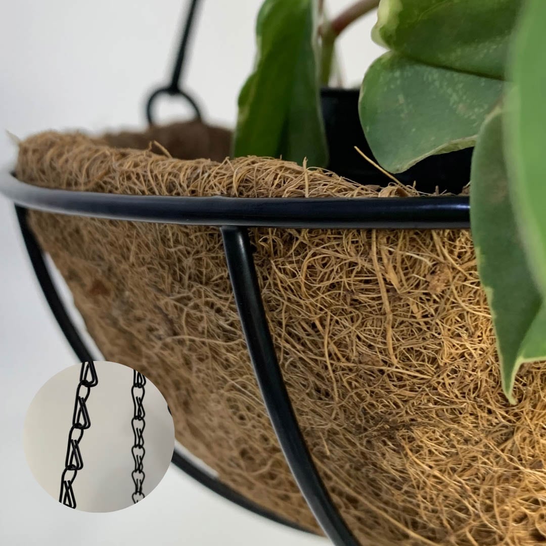 Vaso Suspenso de Fibra de Coco com Corrente