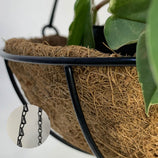 Vaso Suspenso de Fibra de Coco com Corrente