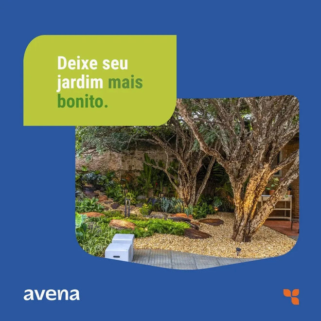 Fixador de Pedras Soltas Avena 5L