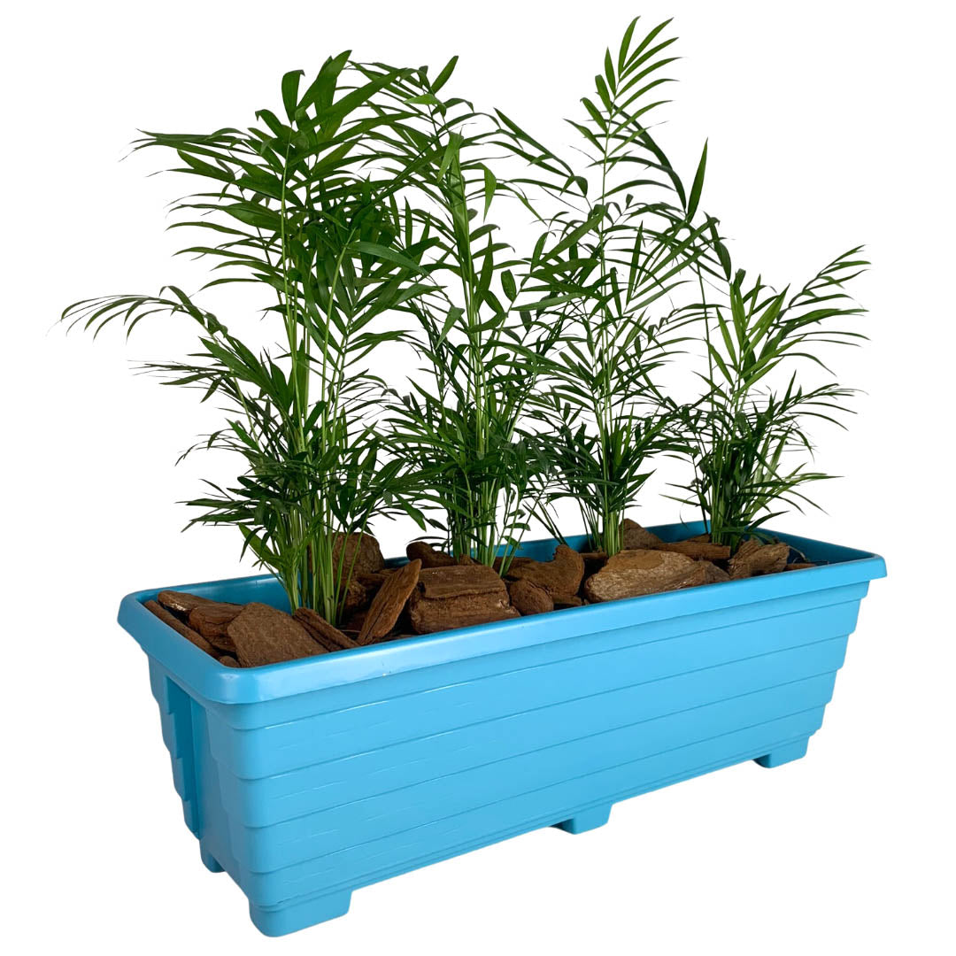 Jardineira Floreira de Plástico 50cm