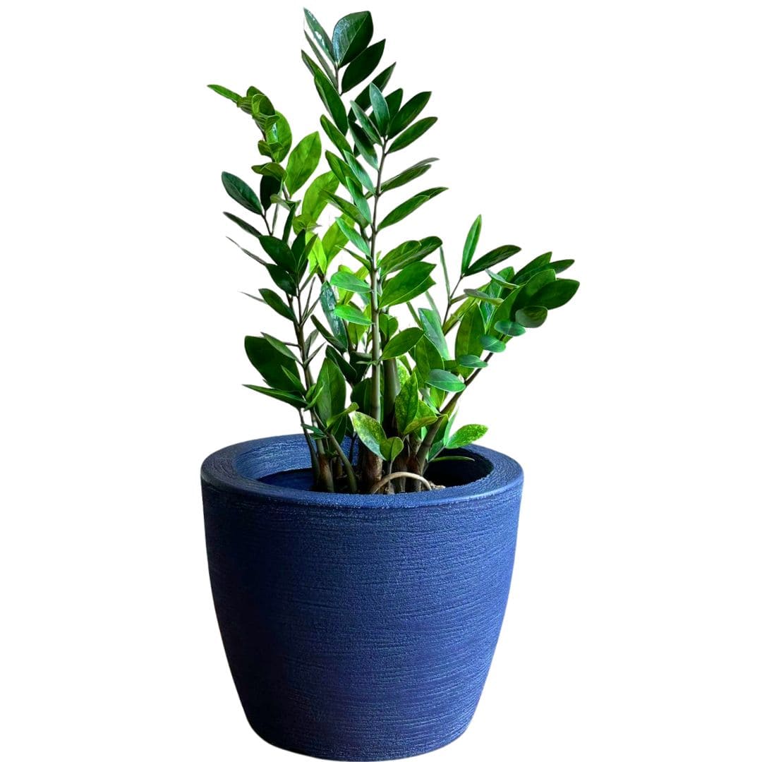 Kit 3 Vasos Decorativos em Polietileno