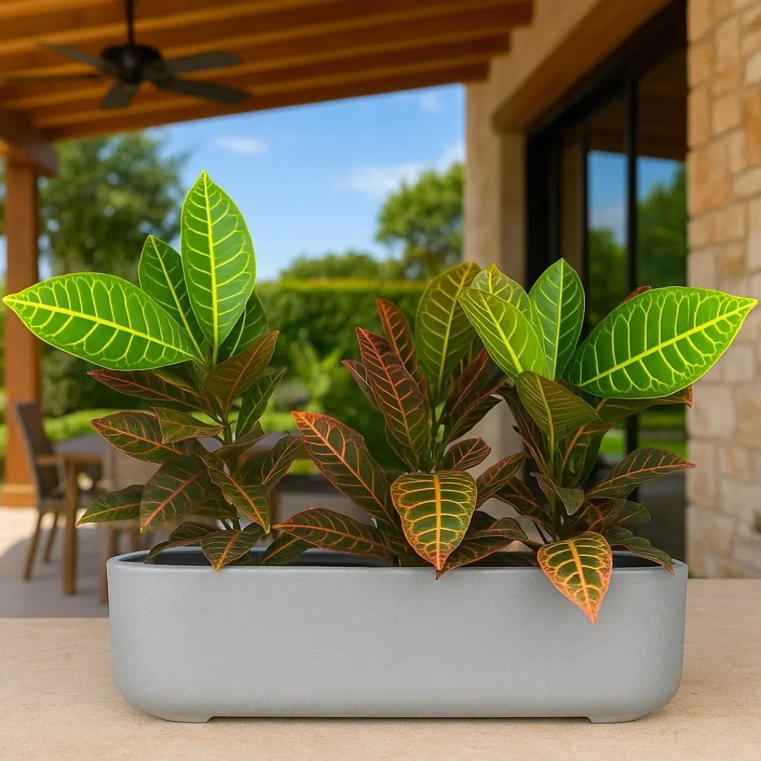 Jardineira Doha em Polietileno 50x17cm
