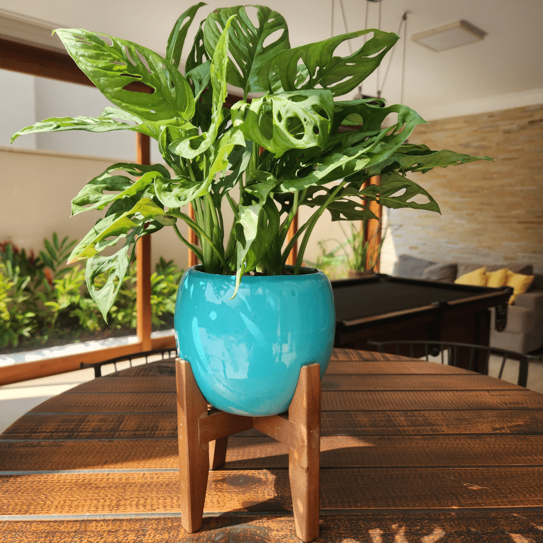 Vaso Cachepot em Porcelana com Tripé de Madeira