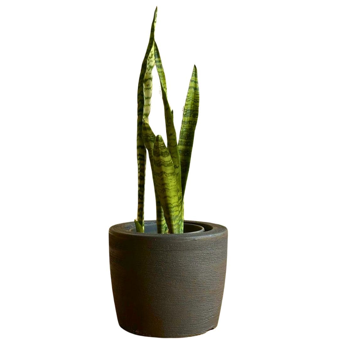 Kit 3 Vasos Decorativos para Pequenos Espaços