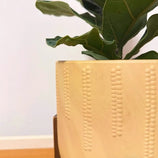 Vaso Cachepot Linha Genebra com Suporte de Madeira Baixo