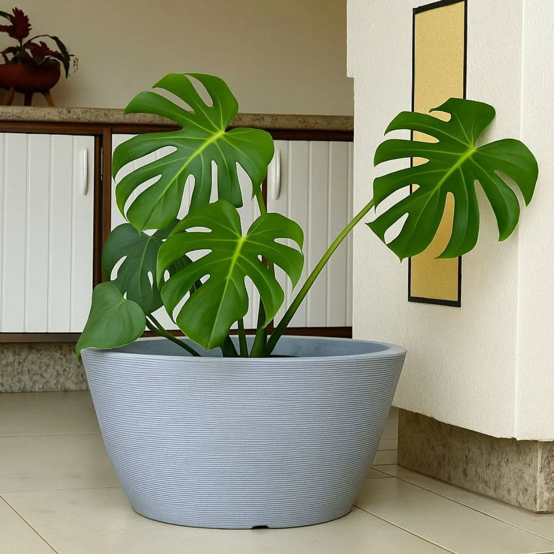 Vaso Bacia Pequim Texturizado em Polietileno 52cm