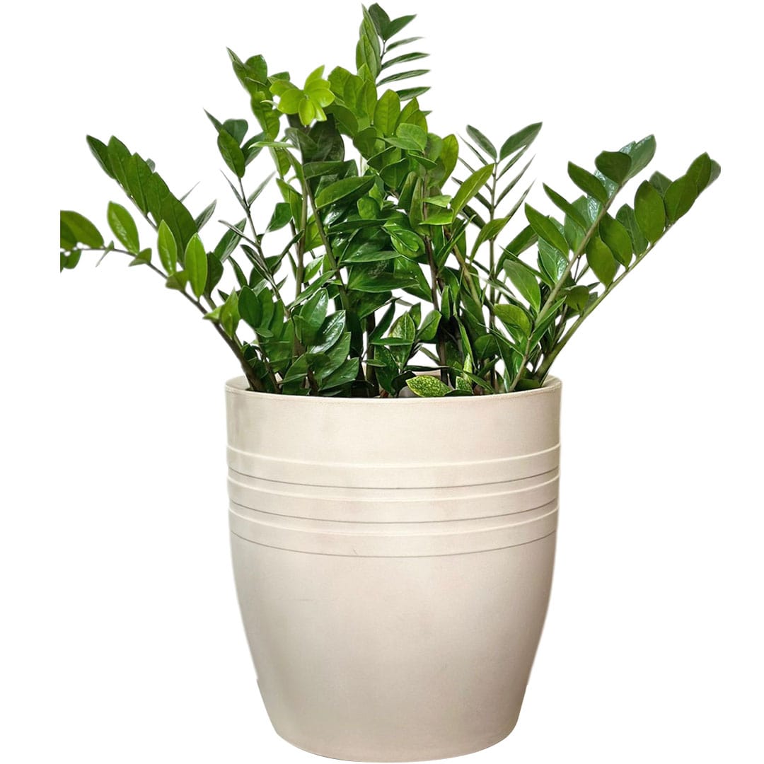 Vaso Mônaco Texturizado em Polietileno