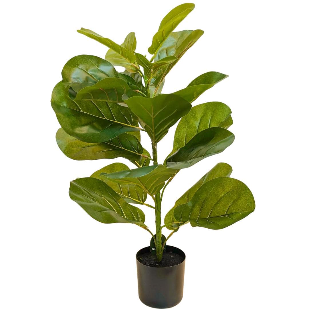 Planta Artificial Ficus Lyrata 80cm