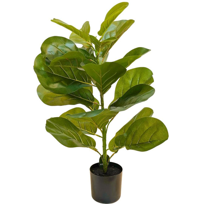 Planta Artificial Ficus Lyrata 80cm