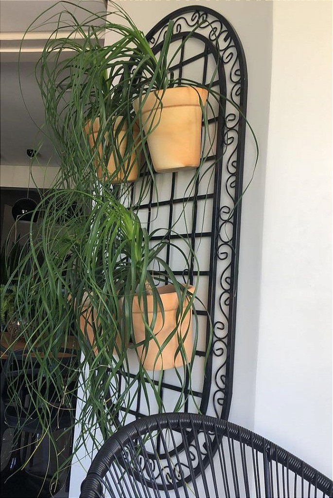 Jardim Vertical Retangular Mandala