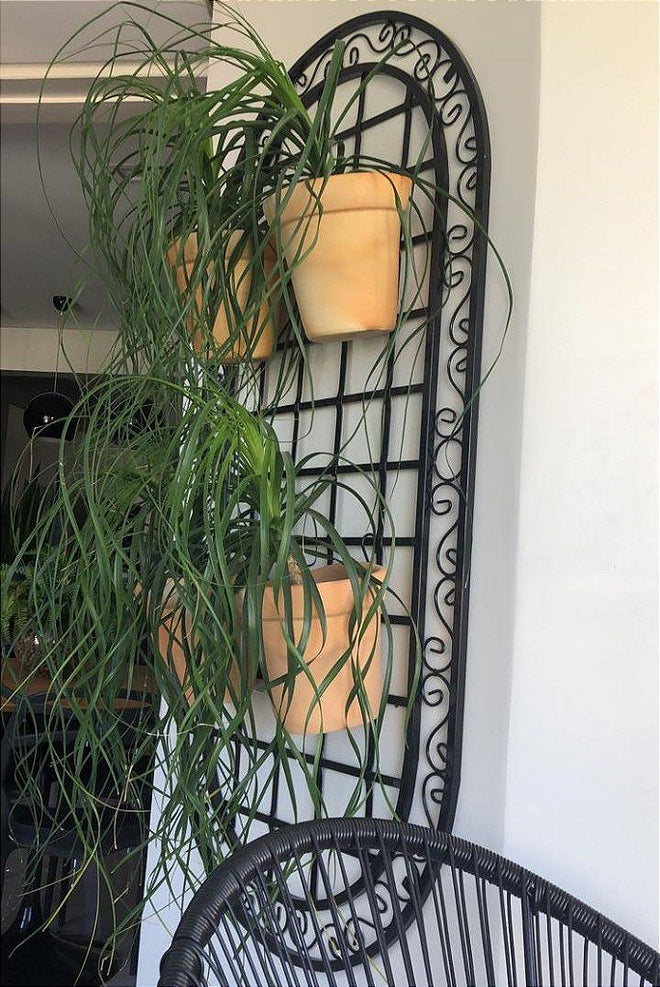 Jardim Vertical Retangular Mandala