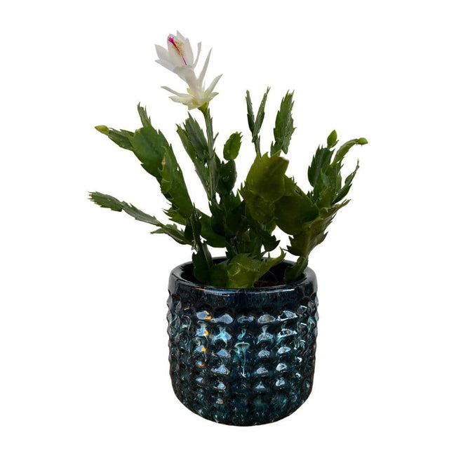 Vaso Cachepot em Cerâmica com Textura