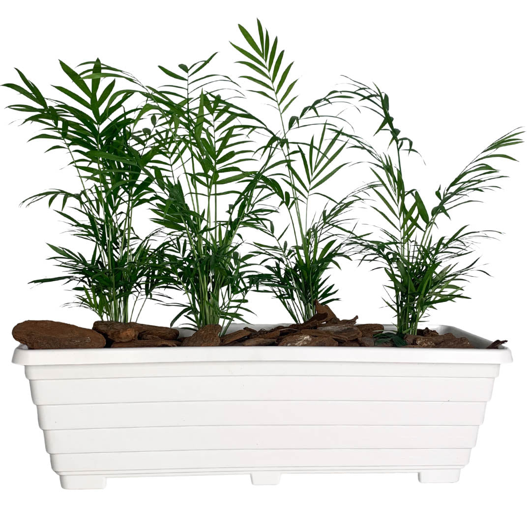 Jardineira Floreira de Plástico 50cm