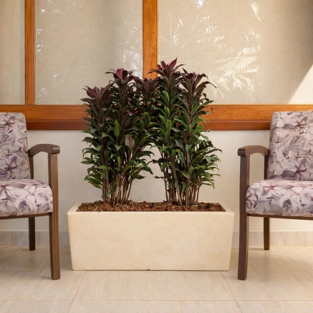 Jardineira Florença em Polietileno 80x25cm