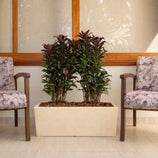 Jardineira Florença em Polietileno 80x25cm