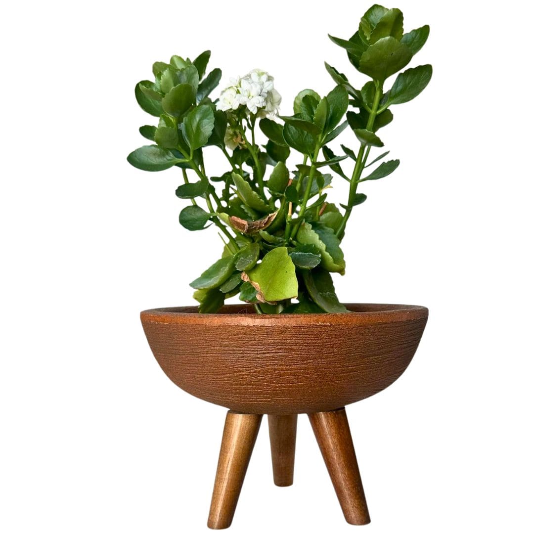 Kit 3 Vasos Pequenos para Espaços Compactos