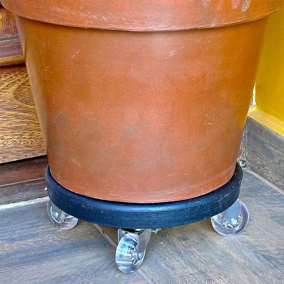 Suporte com Rodas de Silicone para Vasos Redondos