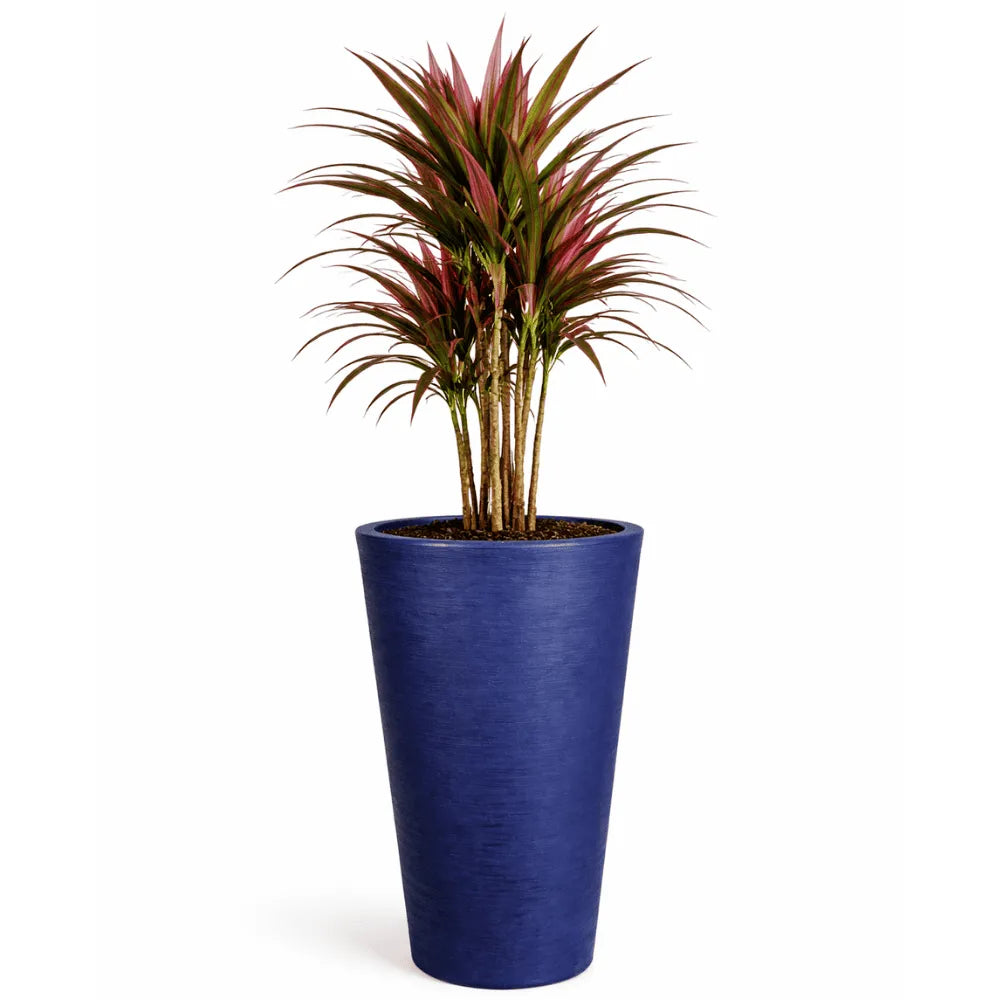 Vaso Texturizado Damasco em Polietileno