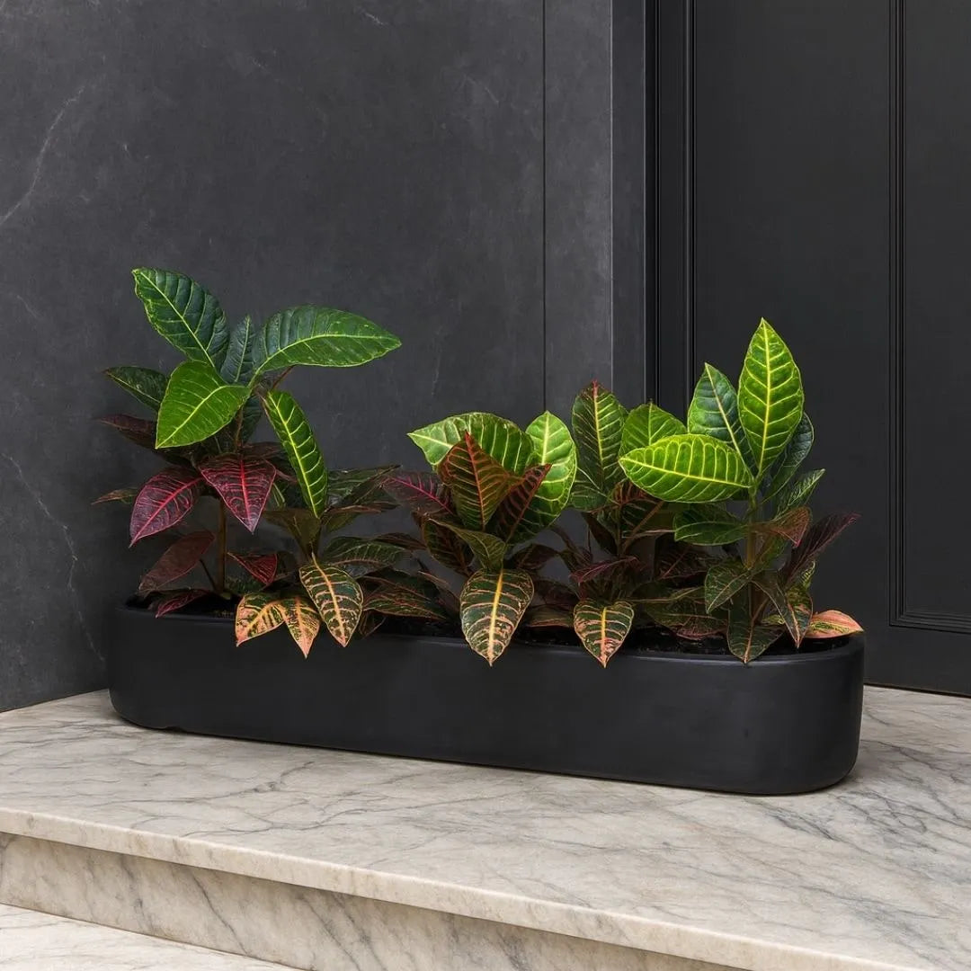 Jardineira Doha em Polietileno 80x17cm
