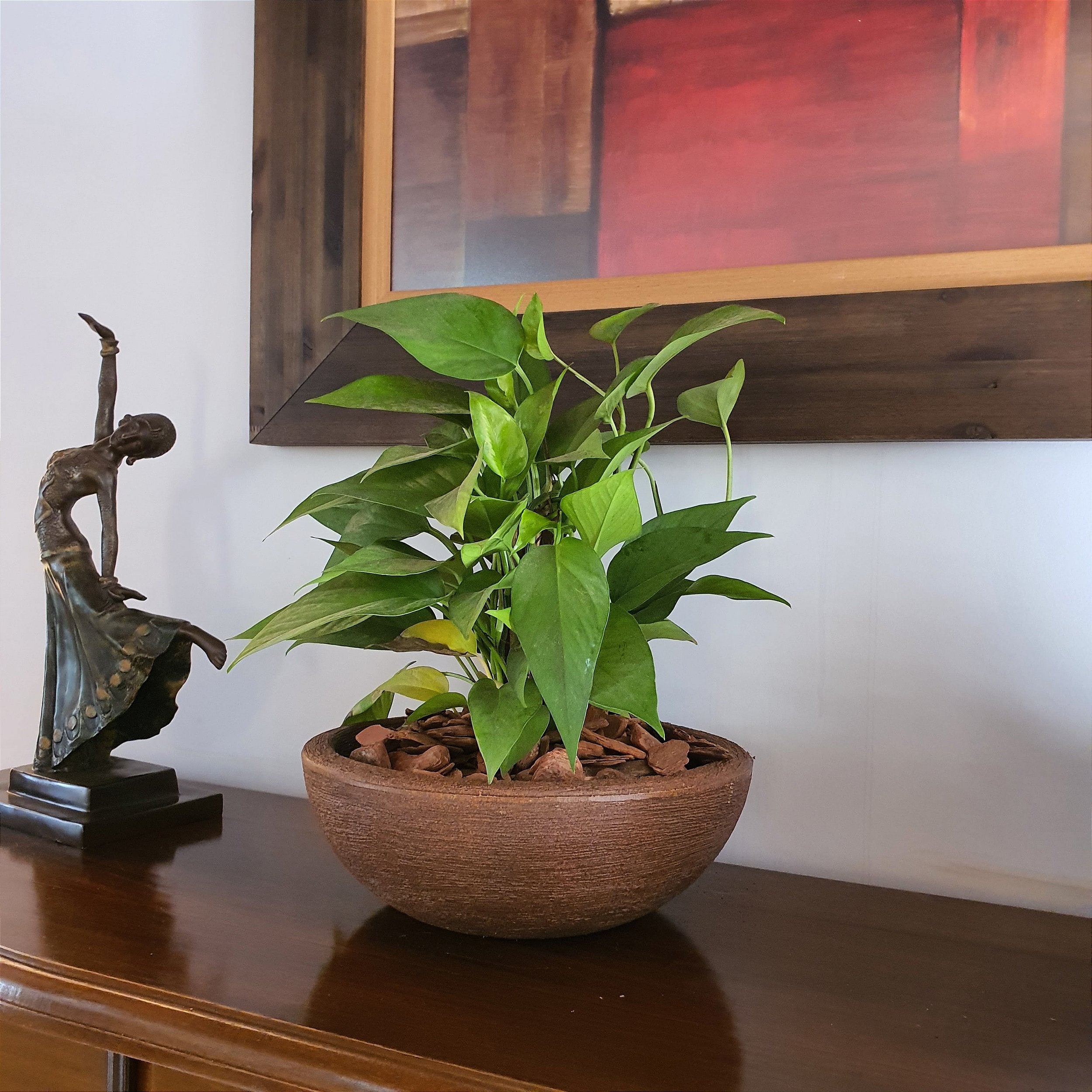 Vaso Bacia Cuia Grande em Polietileno