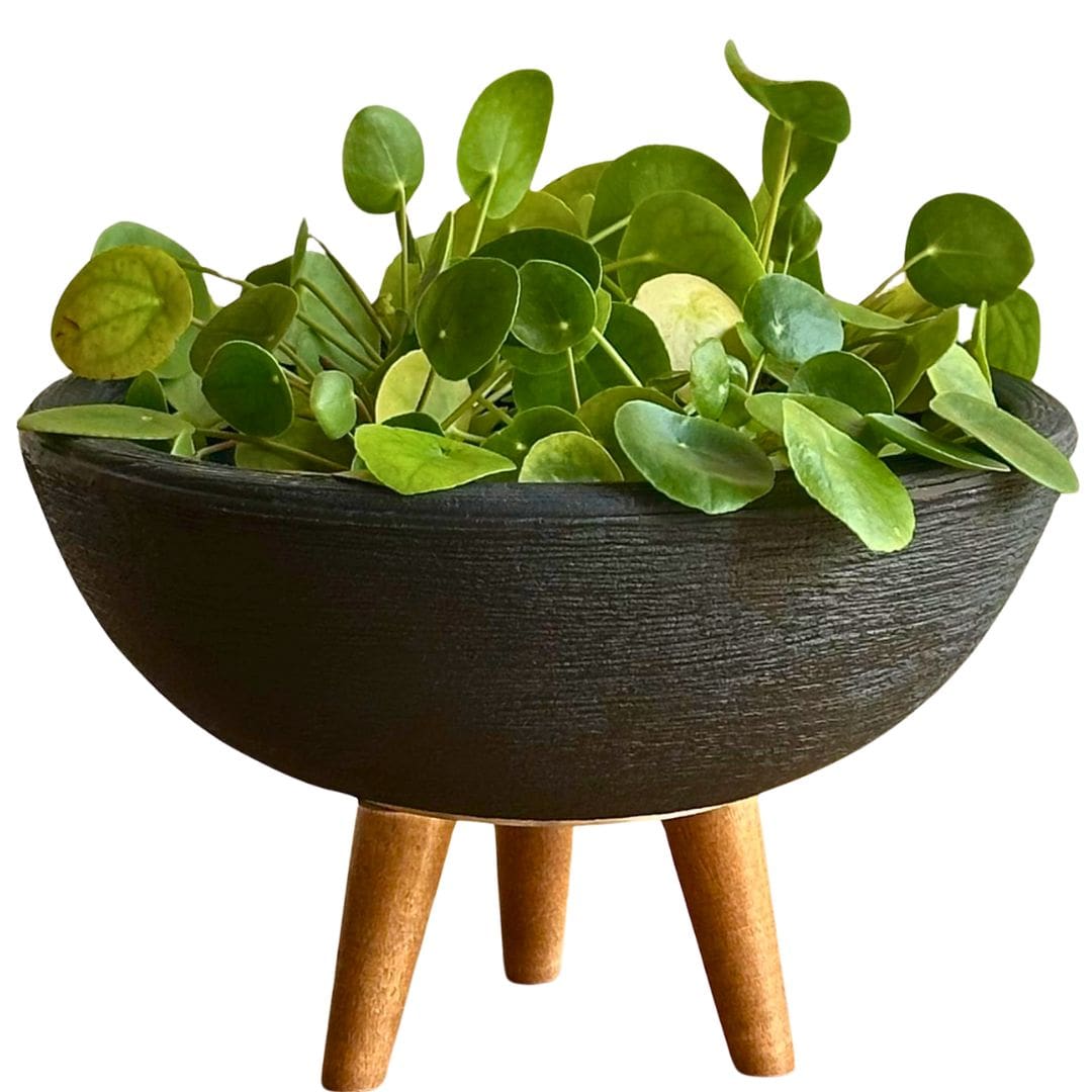 Kit 3 Vasos Decorativos em Polietileno