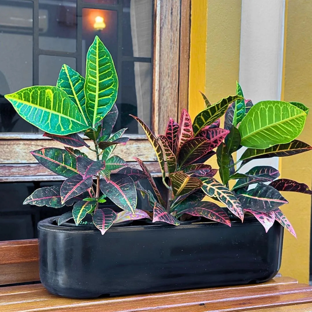 Jardineira Doha em Polietileno 50x17cm
