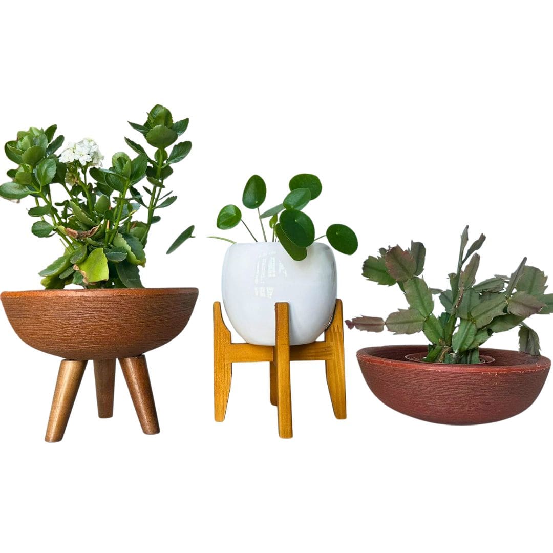 Kit 3 Vasos Pequenos para Espaços Compactos