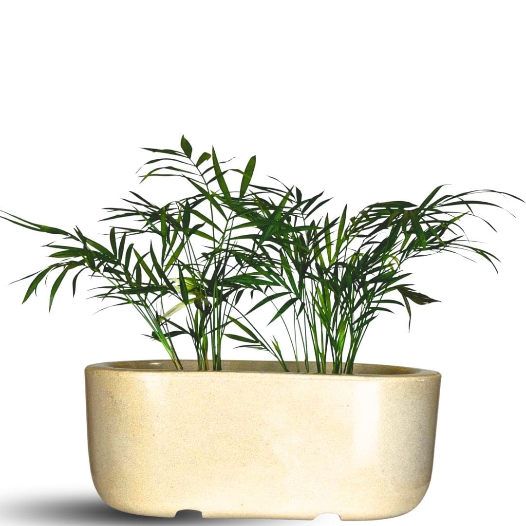 Jardineira Doha em Polietileno 30x17cm