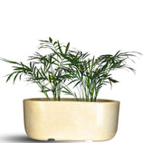 Jardineira Doha em Polietileno 30x17cm