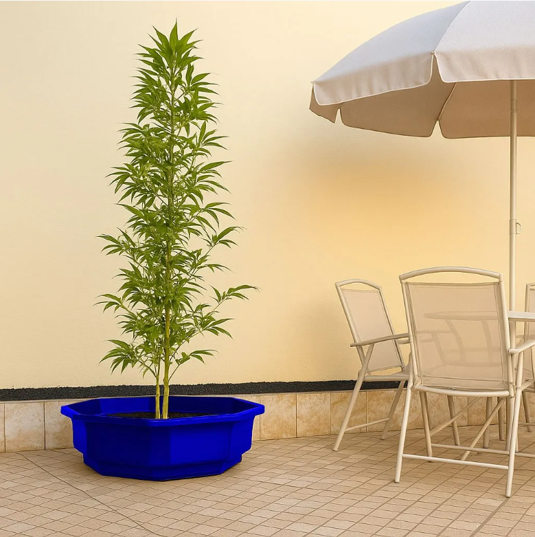 Vaso Bacia Oitavado Siena em Polietileno