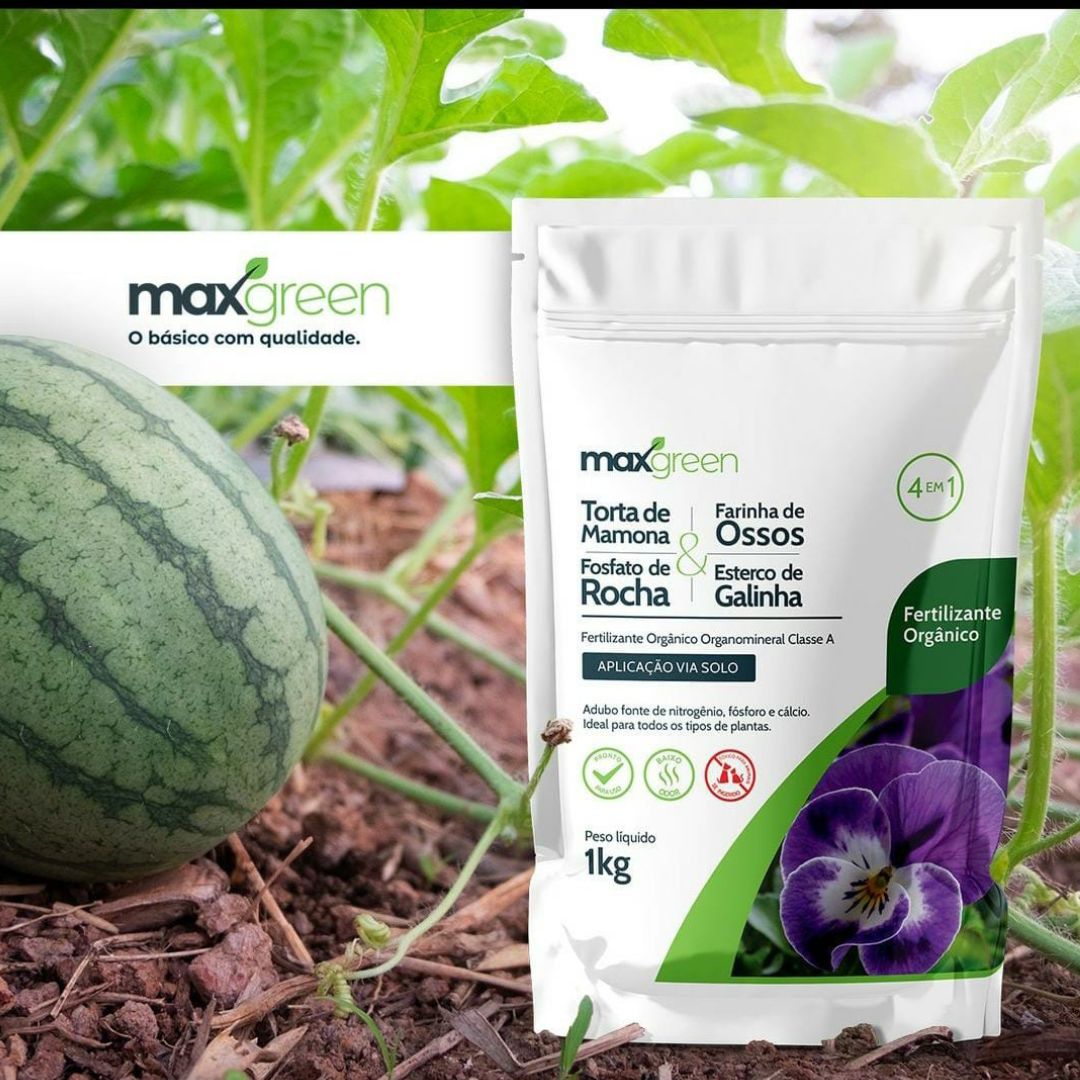Maxgreen Adubo Orgânico 4 em 1 1kg