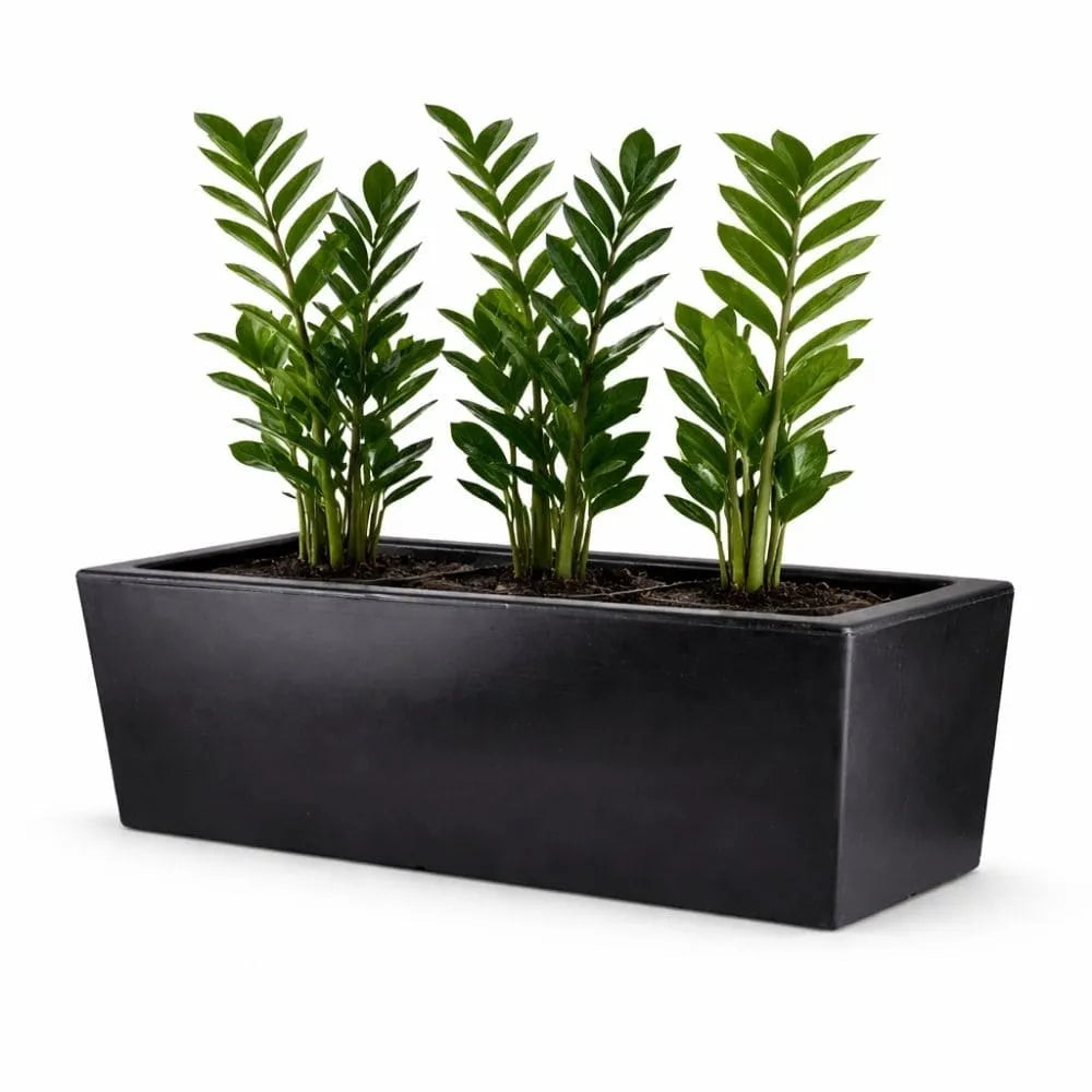 Jardineira Florença em Polietileno 80x25cm