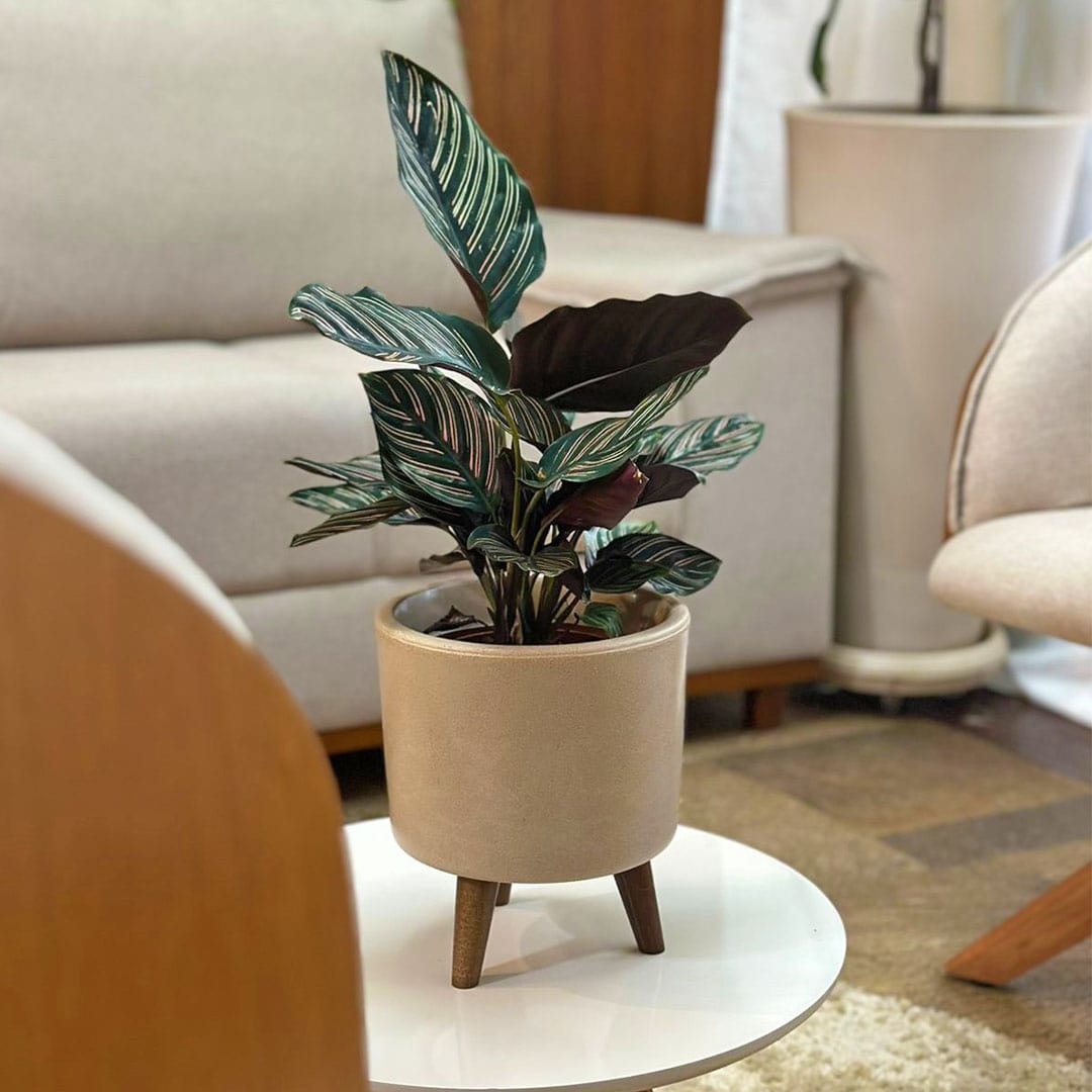 Mini Vaso Linha Doha 22cm com Tripé