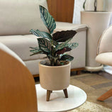 Mini Vaso Linha Doha 22cm com Tripé