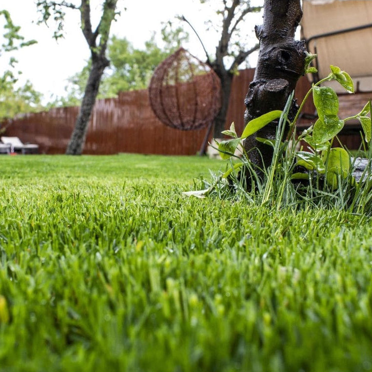 Maxgreen Adubo Mineral Misto NPK 20-05-20 1kg