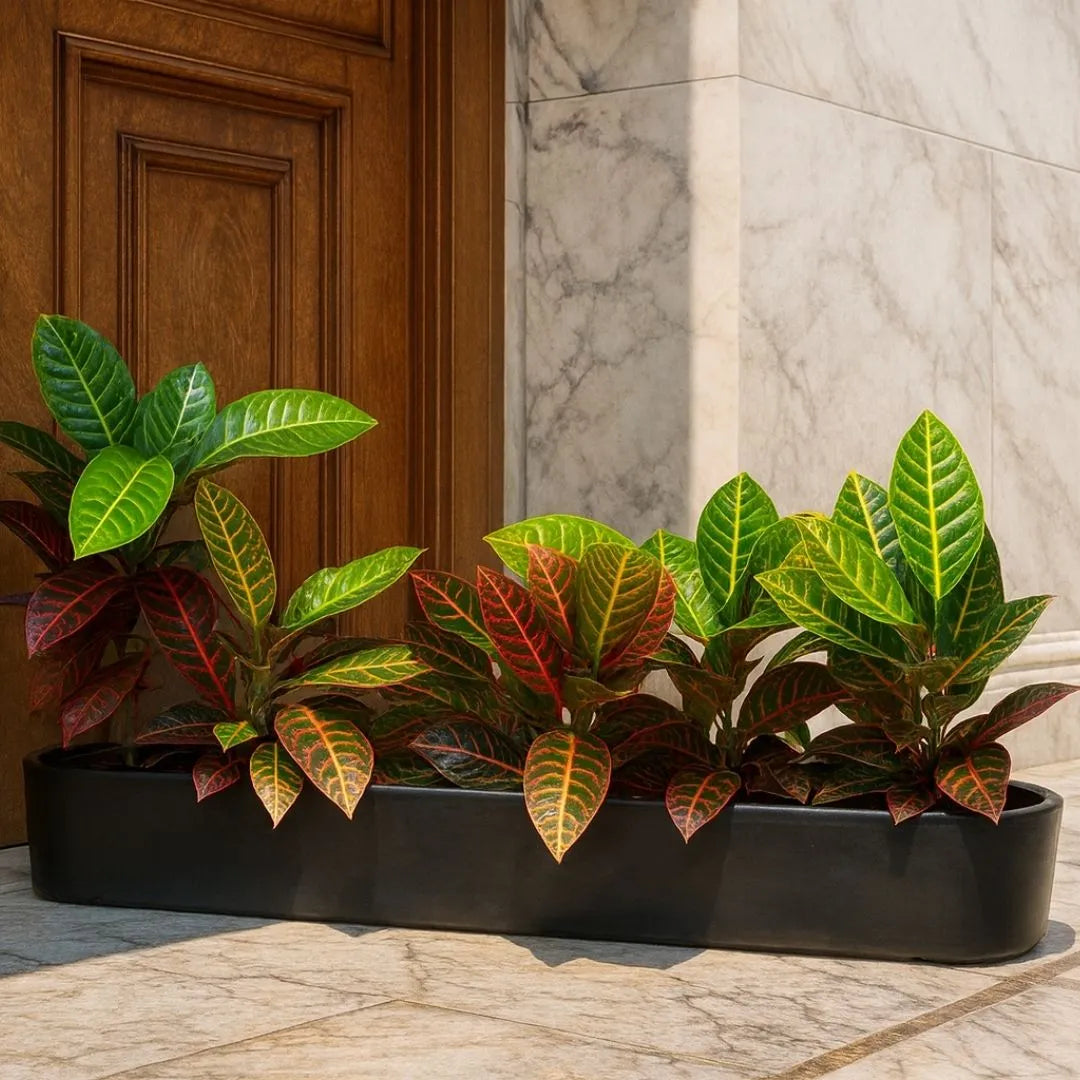 Jardineira Doha em Polietileno 80x17cm
