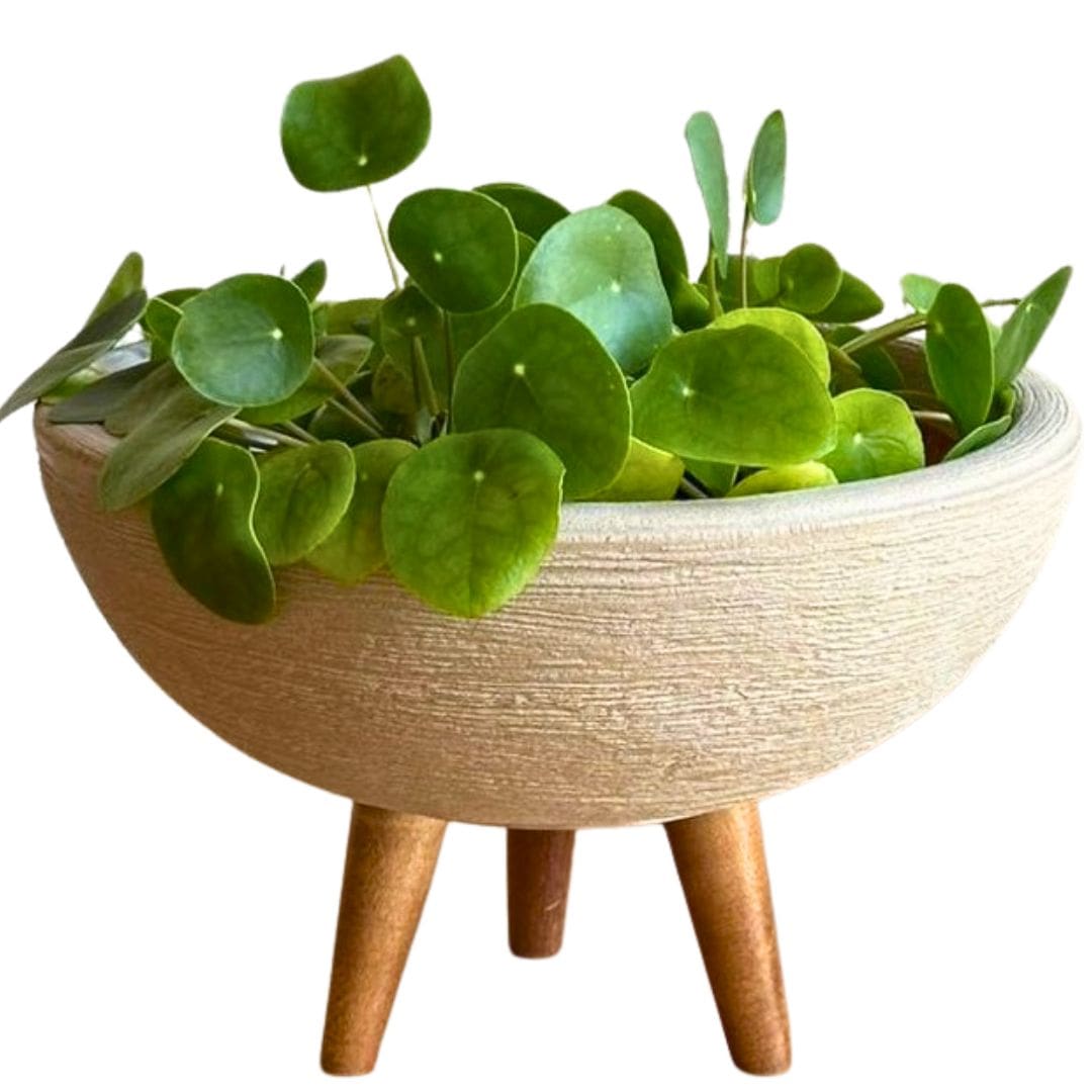 Kit 3 Vasos Decorativos para Pequenos Espaços