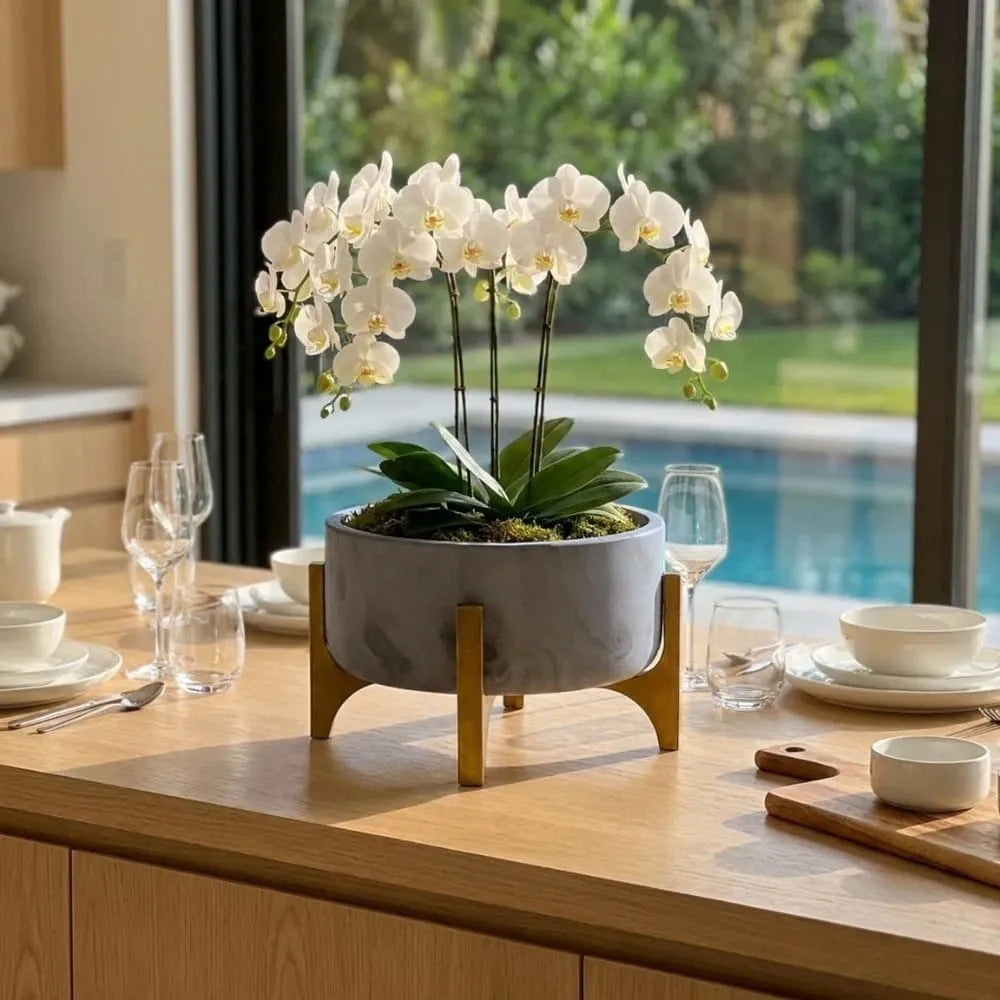 Vaso Bacia Linha Genebra com Suporte de Madeira