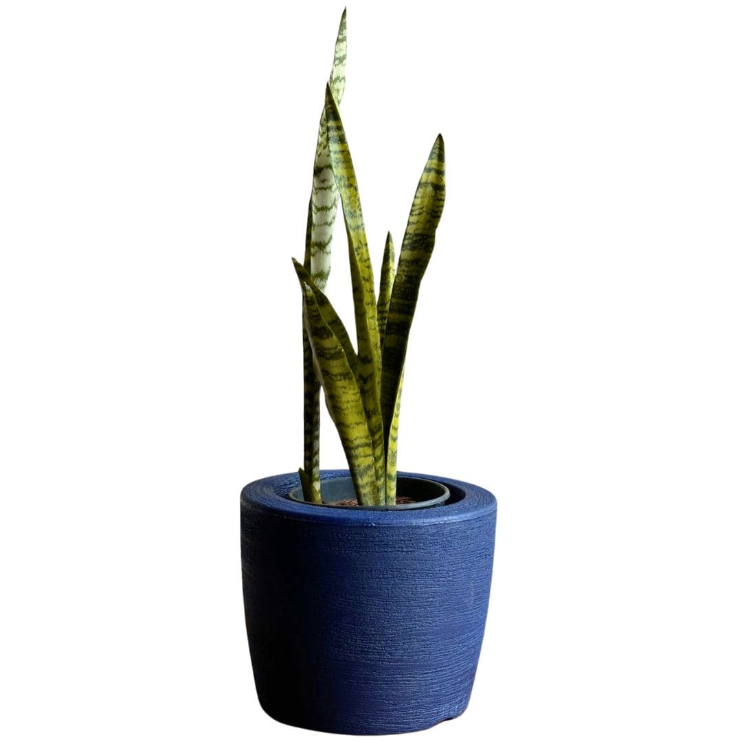 Kit 3 Vasos Decorativos para Pequenos Espaços