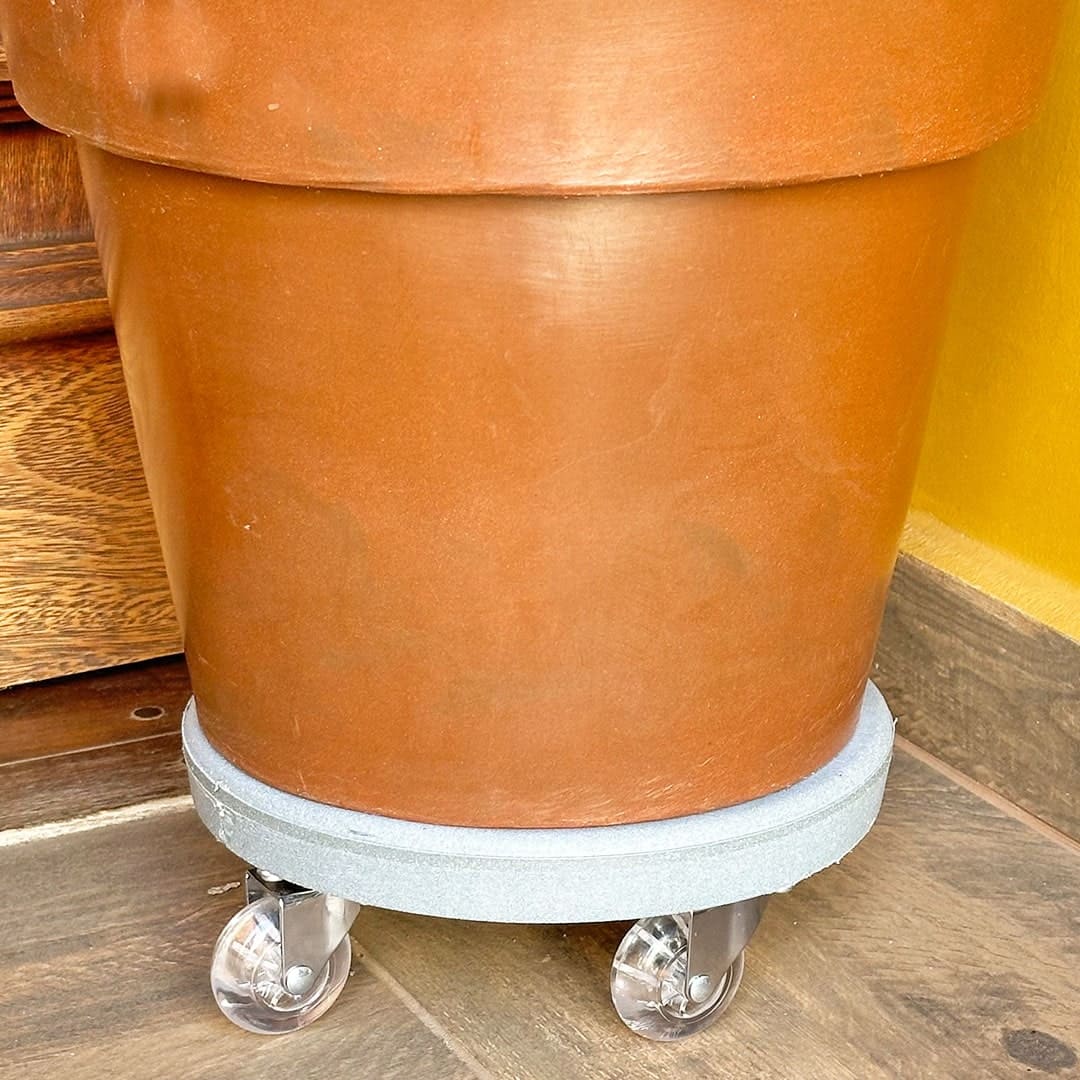 Suporte com Rodas de Silicone para Vasos Redondos