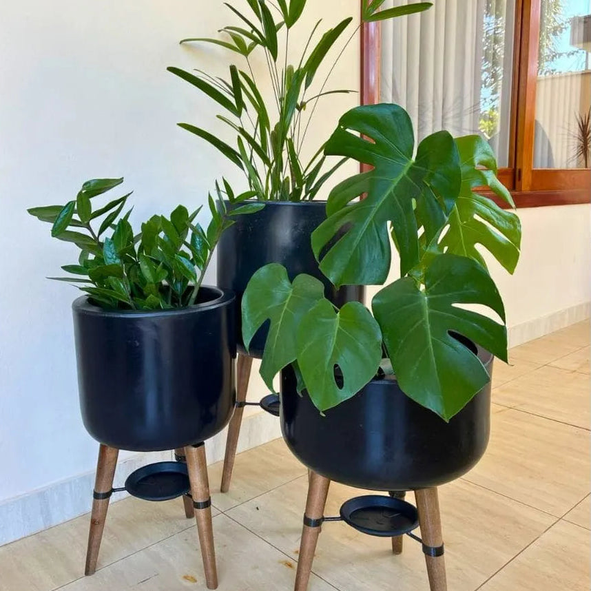 Kit 3 Vasos Linha Doha com Tripé de Madeira