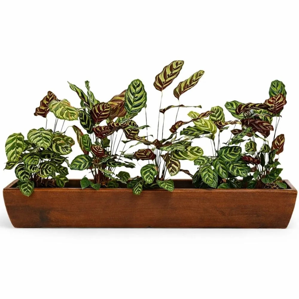 Jardineira Viena Fina em Polietileno